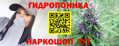 гашик Заводоуковск