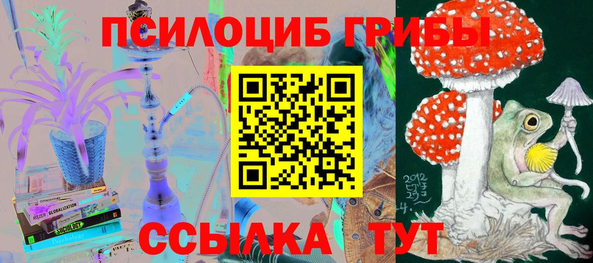 Мариинск  Галлюциногенные грибы мухоморы  Галлюциногенные грибы Psilocybe  наркота  Вход с VPN 